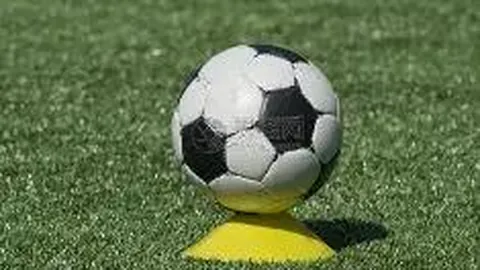 乐鱼体育 资讯 111445 5f6