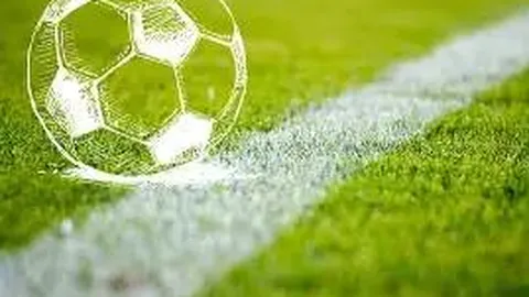 乐鱼集团（中国）有限公司官方网站