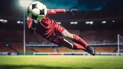 澳网男单第4轮：孟菲尔斯VS谢尔顿 激战瞬间